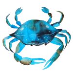 1_0037_crab