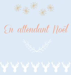 illustration_offre-speciale_noel2016_bleudore-le-blog