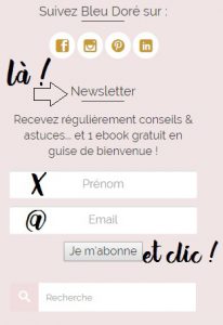 sabonner-illustration-blog-bleudore