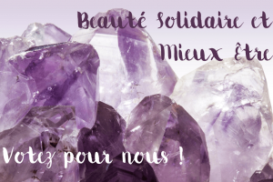 Lire la suite à propos de l’article Beauté Solidaire : Votez pour nous ! [Fabrique Citoyenne #2]