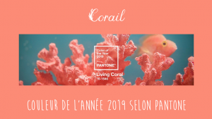 Lire la suite à propos de l’article Corail : Couleur de l’année 2019 selon Pantone