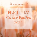 Bonne année avec Peach Fuzz, la couleur Pantone 2024 !