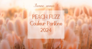 Lire la suite à propos de l’article Bonne année avec Peach Fuzz, la couleur Pantone 2024 !